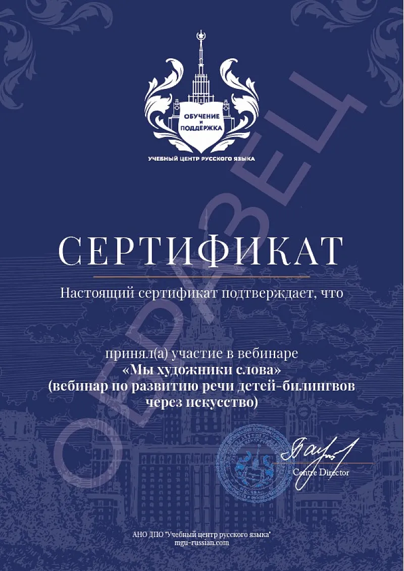 Вебинар по развитию речи детей-билингвов