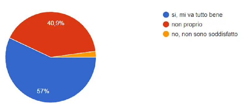 удовлетворенность обучением («все устраивает») выявлена у 57% опрошенных (53 чел.),