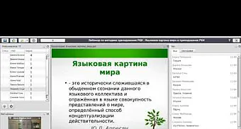 Языковая картина мира и преподавание РКИ